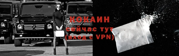 дживик Белокуриха