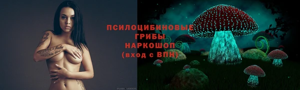 дживик Белокуриха